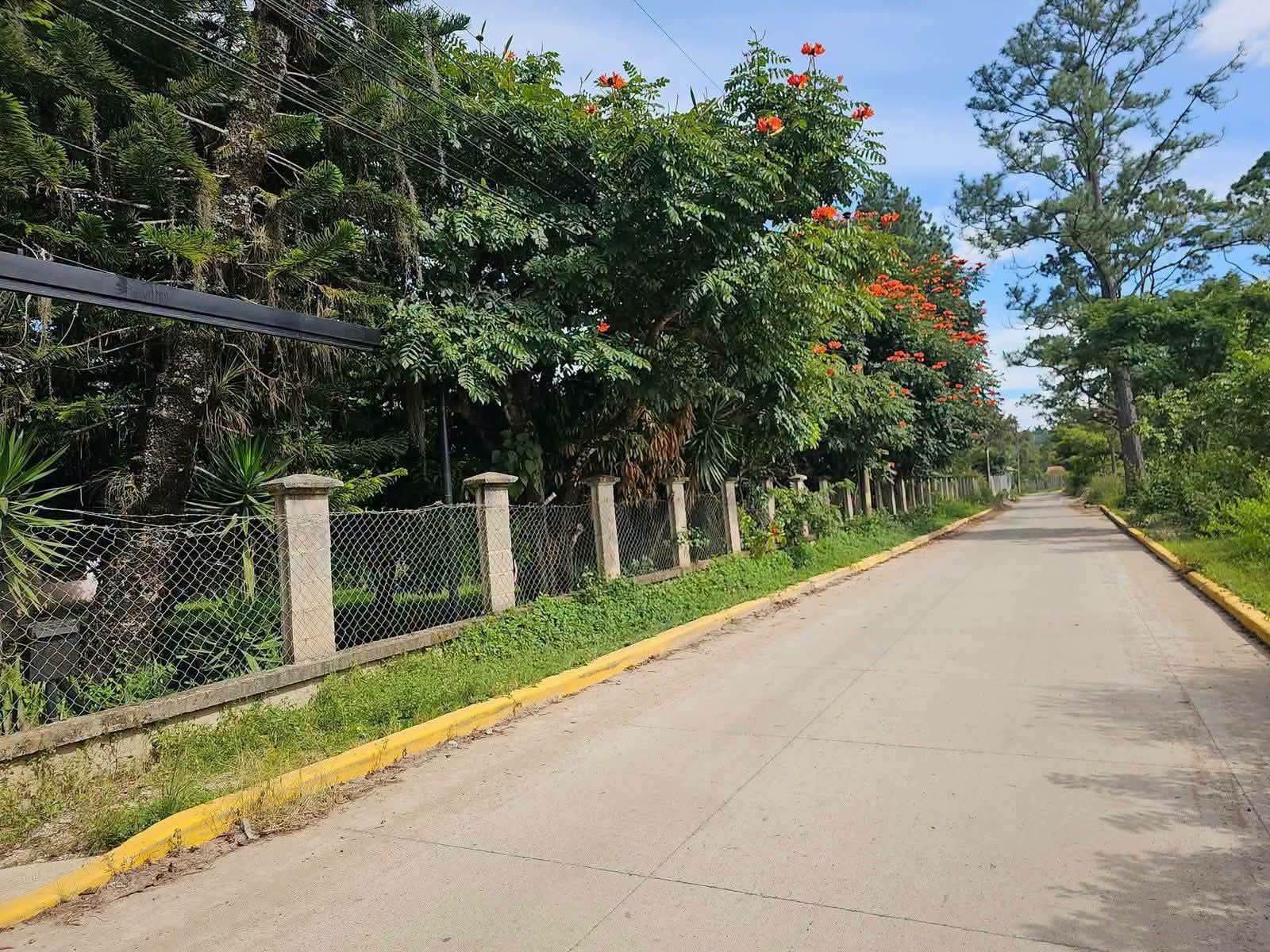 Lotes de Terreno en Valle de Ángeles